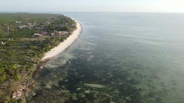 Die Küste der Insel Sansibar, Tansania bei Ebbe — Stockvideo