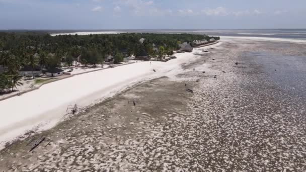 Shore of Zanzibar island, Tanzania at low tide — Stock Video