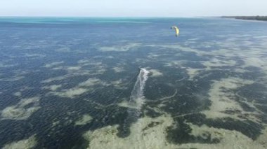 Tanzanya 'nın Zanzibar kıyısında uçurtma.