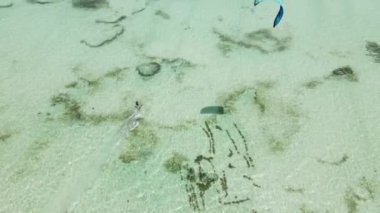 Tanzanya 'nın Zanzibar kıyısında uçurtma.