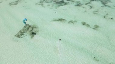 Tanzanya 'nın Zanzibar kıyısında uçurtma.