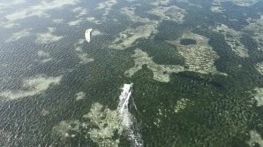 Tanzanya 'nın Zanzibar kıyısında uçurtma.