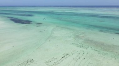 Tanzanya 'nın Zanzibar kıyısında uçurtma.