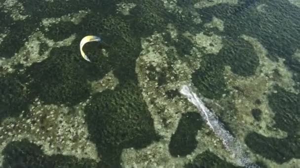 Kitesurf près du rivage de Zanzibar, Tanzanie — Video