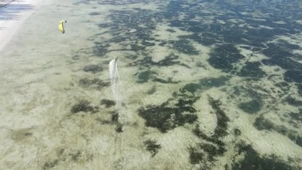 Kitesurf vicino alla riva di Zanzibar, Tanzania — Video Stock