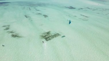 Tanzanya 'nın Zanzibar kıyısında uçurtma.