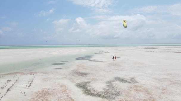 Kitesurfing a tanzániai Zanzibár partjainál — Stock videók