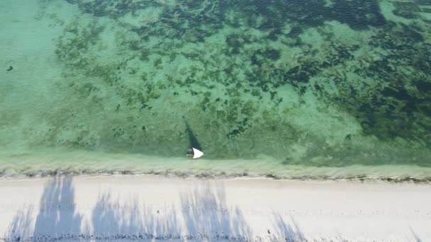 Tanzanya 'nın Zanzibar kıyısındaki bir teknenin okyanus manzarası. — Stok video