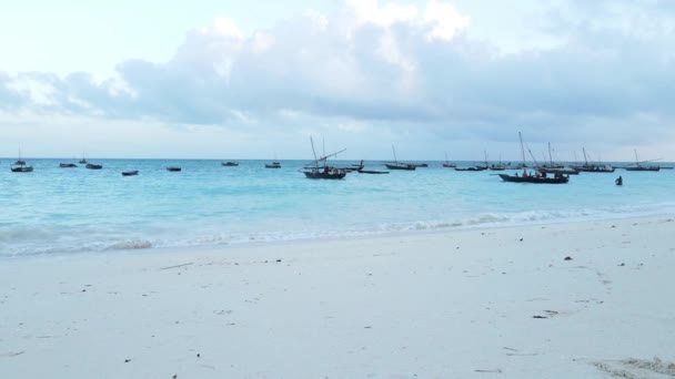 Tanzanya, Zanzibar 'ın kıyı manzarası - kıyıya yakın tekneler — Stok video