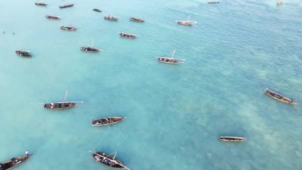 Zanzibar, Τανζανία - βάρκες στα νερά του ωκεανού κοντά στην ακτή — Αρχείο Βίντεο