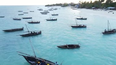 Tanzanya, Zanzibar 'ın kıyı manzarası - kıyıya yakın tekneler