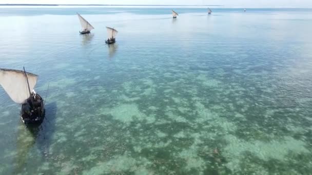 Barcos no oceano perto da costa de Zanzibar, Tanzânia — Vídeo de Stock