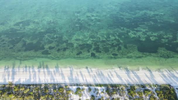 Oceaan bij de kust van Zanzibar, Tanzania — Stockvideo