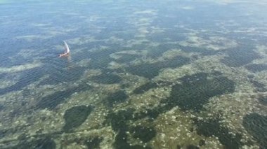 Tanzanya 'nın Zanzibar kıyısındaki bir teknenin okyanus manzarası.