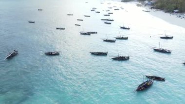 Tanzanya, Zanzibar 'ın kıyı manzarası - kıyıya yakın tekneler