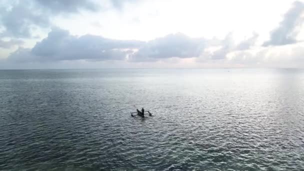 Vista aérea de un barco en el océano cerca de la costa de Zanzíbar, Tanzania — Vídeo de stock