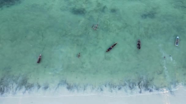 Paesaggio costiero di Zanzibar, Tanzania - barche vicino alla riva — Video Stock