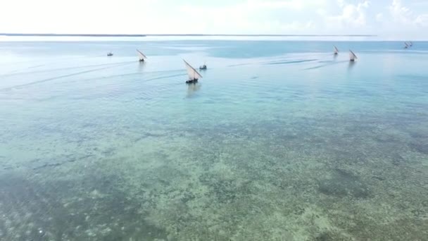 Tanzanya, Zanzibar 'ın kıyı manzarası - kıyıya yakın tekneler — Stok video