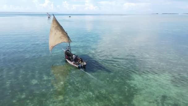 タンザニアのザンジバル海岸近くの海のボート — ストック動画