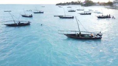 Tanzanya, Zanzibar 'ın kıyı manzarası - kıyıya yakın tekneler
