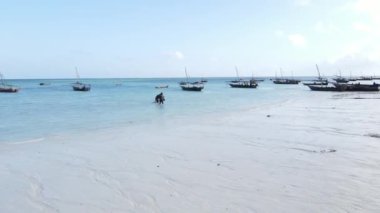 Okyanusta tekneler Tanzanya 'nın Zanzibar kıyısında.