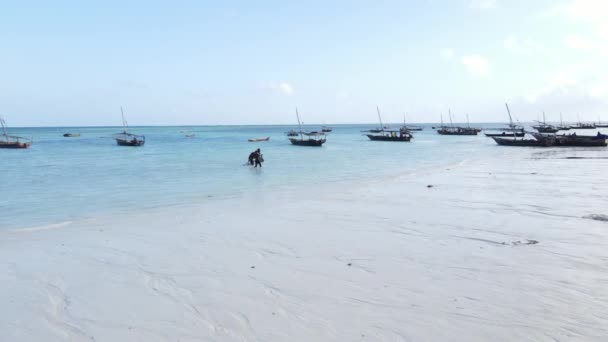 Boten in de oceaan bij de kust van Zanzibar, Tanzania — Stockvideo
