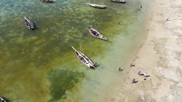 Paisaje costero de Zanzíbar, Tanzania - barcos cerca de la orilla — Vídeos de Stock