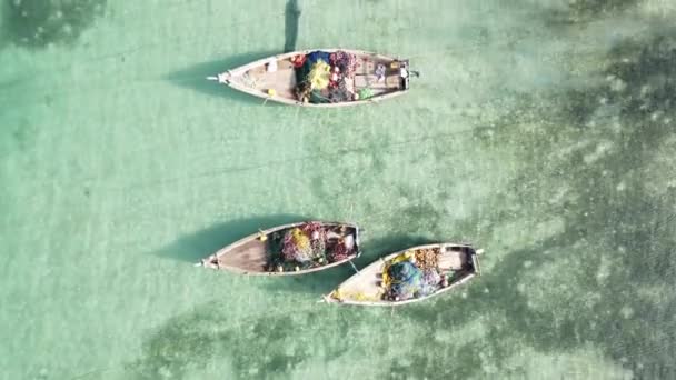 Zanzibar, Tanzânia - barcos na água do oceano perto da costa — Vídeo de Stock