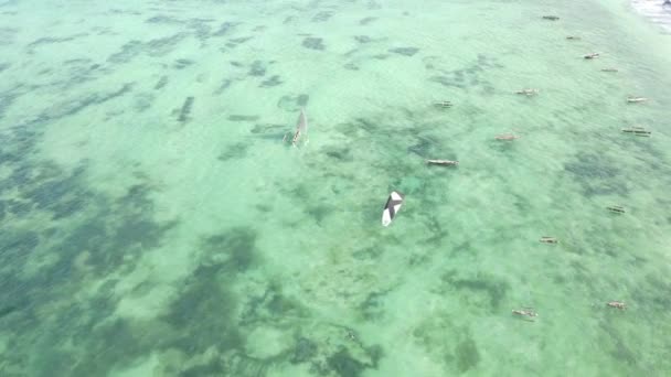 Barcos no oceano perto da costa de Zanzibar, Tanzânia — Vídeo de Stock