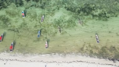 Bu video Zanzibar, Tanzanya açıklarında okyanustaki tekneleri gösteriyor..