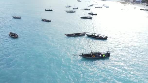Stock Video Shows Boats Ocean Coast Zanzibar Tanzania — Stock Video