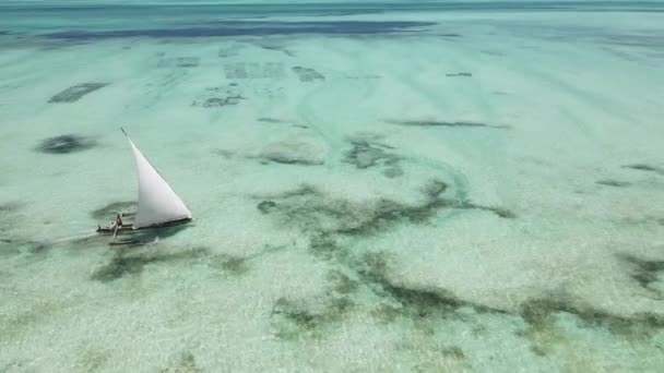 Este Vídeo Mostra Barco Oceano Largo Costa Zanzibar Tanzânia — Vídeo de Stock