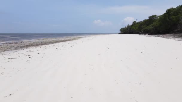 Stock Video Shows Ocean Coast Zanzibar Tanzania — Stock Video