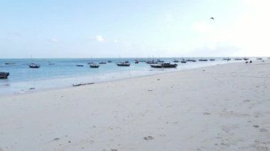 Bu video Zanzibar, Tanzanya açıklarında okyanustaki tekneleri gösteriyor..