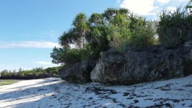 Bu video Tanzanya 'nın Zanzibar adasında boş bir plajı gösteriyor..