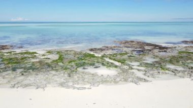 Bu video Tanzanya 'nın Zanzibar adasında boş bir plajı gösteriyor..