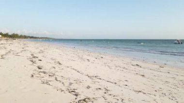 Bu video Tanzanya 'nın Zanzibar adasında boş bir plajı gösteriyor..