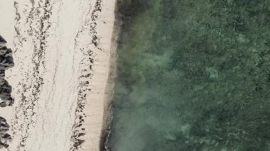 Bu video Tanzanya 'nın Zanzibar adasında boş bir plajı gösteriyor..