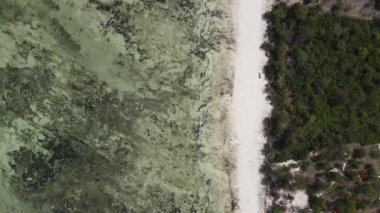 Bu video Tanzanya 'nın Zanzibar adasında boş bir plajı gösteriyor..
