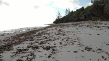 Bu video Tanzanya 'nın Zanzibar adasında boş bir plajı gösteriyor..