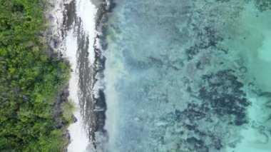 Bu video Tanzanya 'nın Zanzibar adasında boş bir plajı gösteriyor..