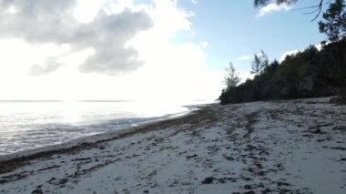 Bu video Tanzanya 'nın Zanzibar adasında boş bir plajı gösteriyor..