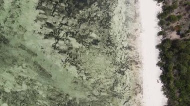 Bu video Tanzanya 'nın Zanzibar adasında boş bir plajı gösteriyor..