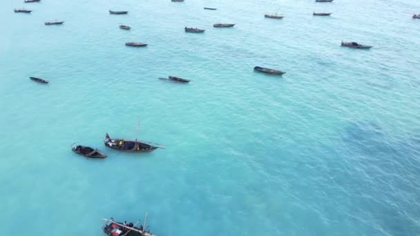 Este Vídeo Mostra Barcos Oceano Largo Costa Zanzibar Tanzânia — Vídeo de Stock