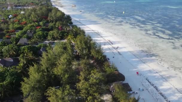 Nagranie Pokazuje Ocean Wybrzeży Zanzibaru Tanzanii — Wideo stockowe