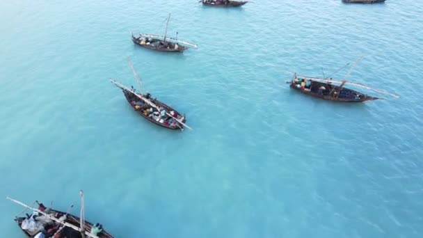 Deze Stockvideo Toont Boten Oceaan Voor Kust Van Zanzibar Tanzania — Stockvideo