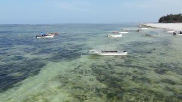 Stock Video Shows Boats Ocean Coast Zanzibar Tanzania — Stock Video