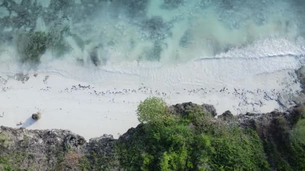 Stock Video Shows Empty Beach Island Zanzibar Tanzania — Stock Video