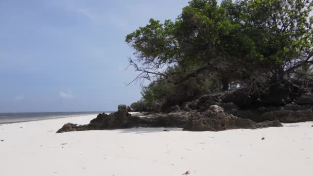 Állomány Videó Egy Üres Strandot Mutat Zanzibár Szigetén Tanzániában — Stock videók