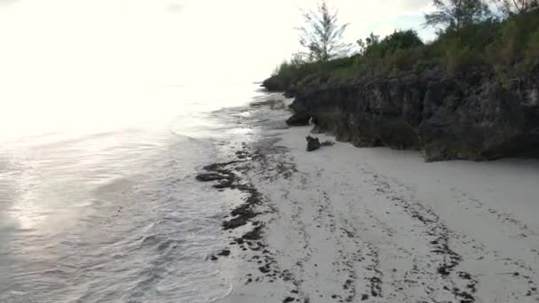 Цьому Відео Показано Порожній Пляж Острові Занзібар Танзанія — стокове відео